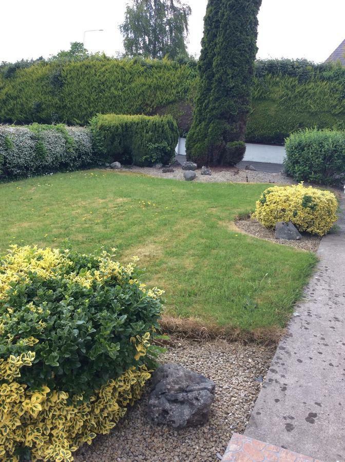 Riverside House Bed and Breakfast Roscommon Exteriör bild